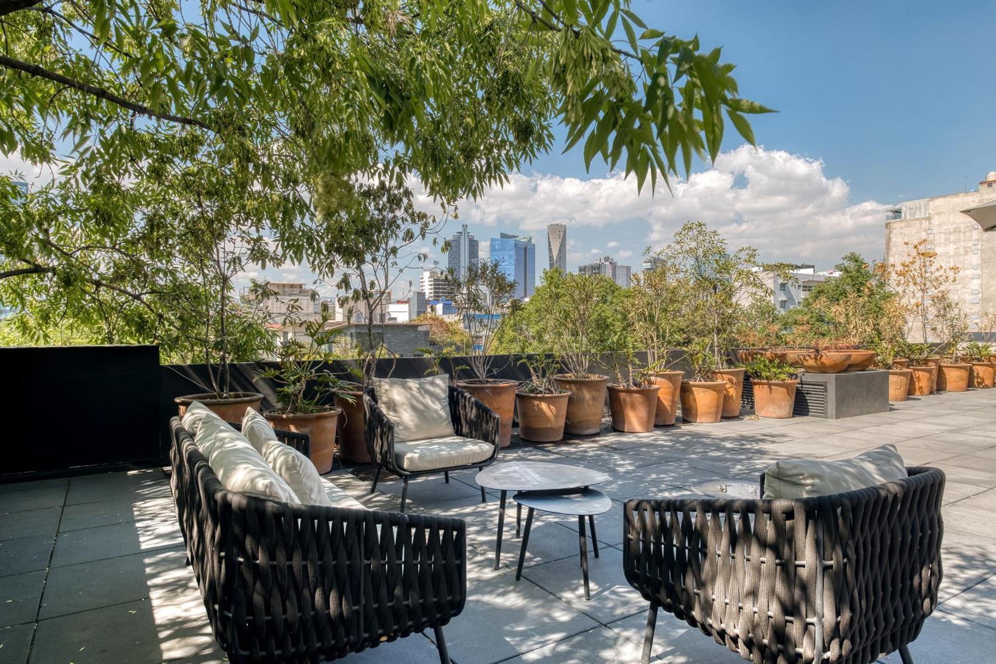 Boga Mexico City By Lumina Экстерьер фото